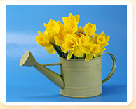 Mother�s Day � Flowers, Chocolates & Lots of Traffic for the Retail Industry
