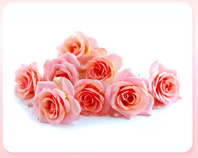 Mother’s Day — Flowers, Chocolates & Lots of Traffic for the Retail Industry