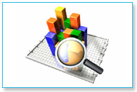 Search Engine Optimisation (SEO)