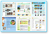 Website Development