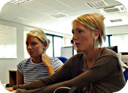 Our team will look at every aspect of your SEO