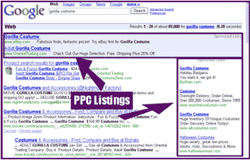 Pay Per Click Ads on Google