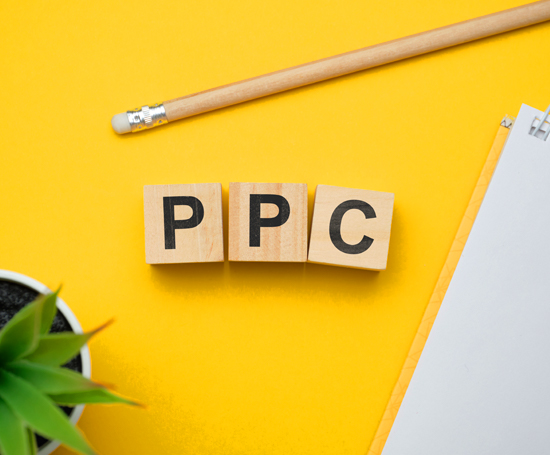 PPC Beginners Guide